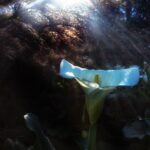 JPEG image-4EE5-9C14-E1-0